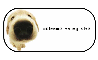 welcome dog